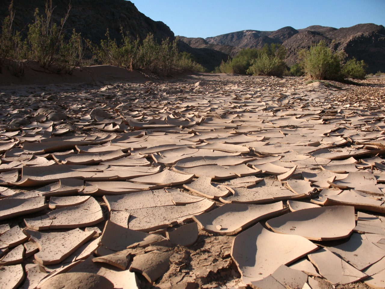 WhatsApp Image 2019-06-03 at 11.45.28 (20)